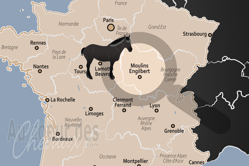 La localisation de Moulins Engilbert en France