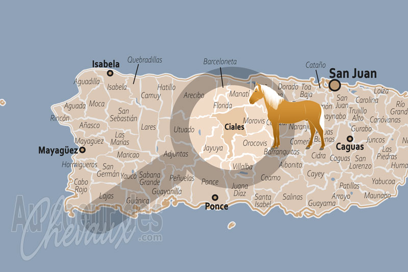 La localisation de la Municipalit� de Ciales � Porto Rico