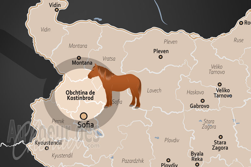 La Municipalit� de Kostinbrod, un p�le �questre strat�gique entre science, sport et tradition
