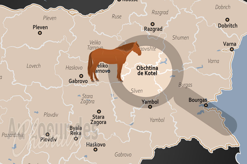 La localisation de la Municipalit� de Kotel en Bulgarie