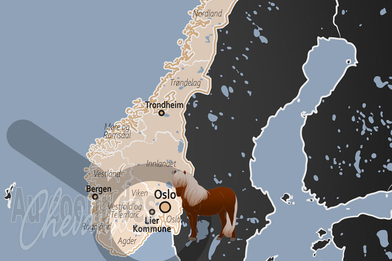 La localisation de la Municipalit� de Lier en Norv�ge