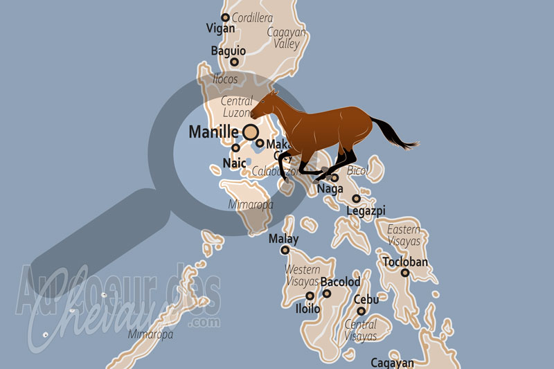 La localisation de la Municipalit� de Naic aux Philippines