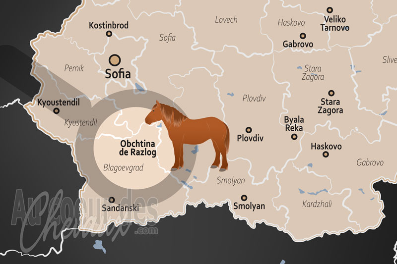 La localisation de la Municipalit� de Razlog en Bulgarie