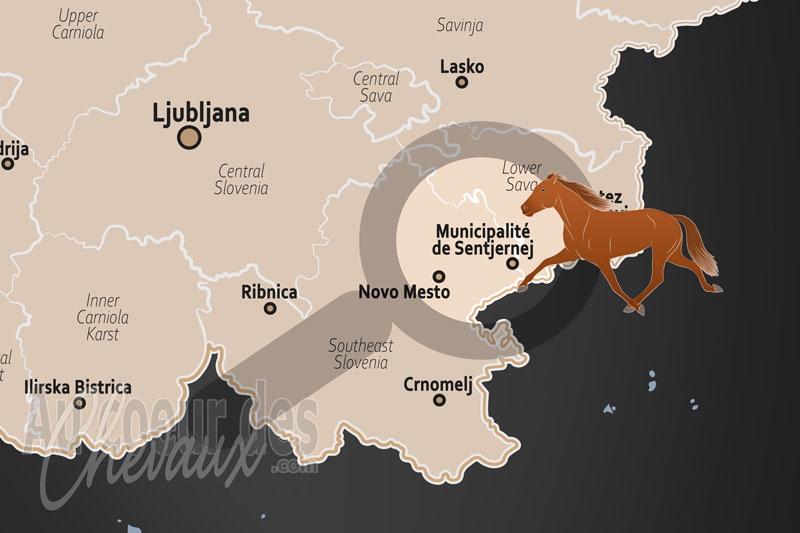 La localisation de la Municipalit� de Sentjernej en Slov�nie