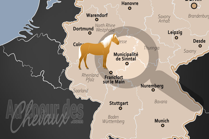 La localisation de la Municipalit� de Sinntal en Allemagne
