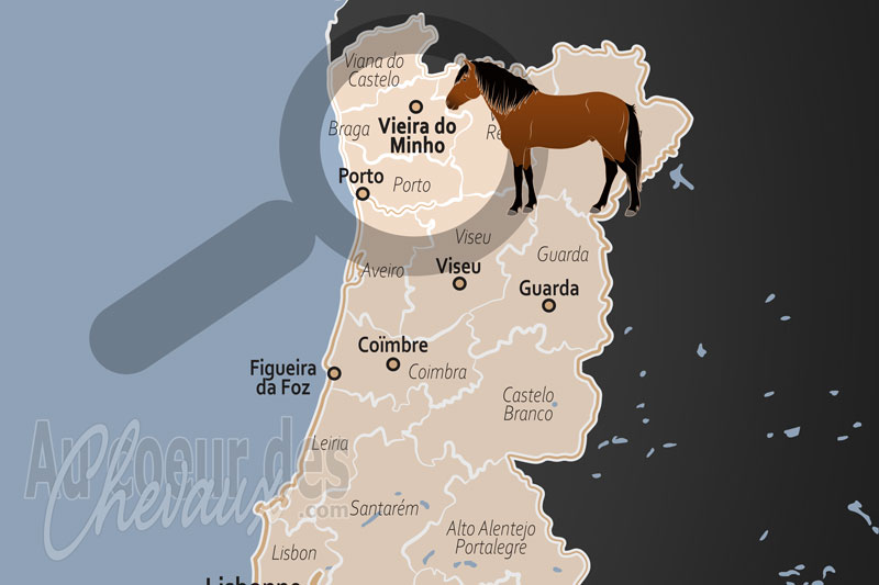 La localisation de la Municipalit� de Vieira do Minho au Portugal