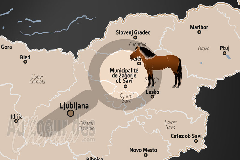 La localisation de la Municipalit� de Zagorje ob Savi en Slov�nie