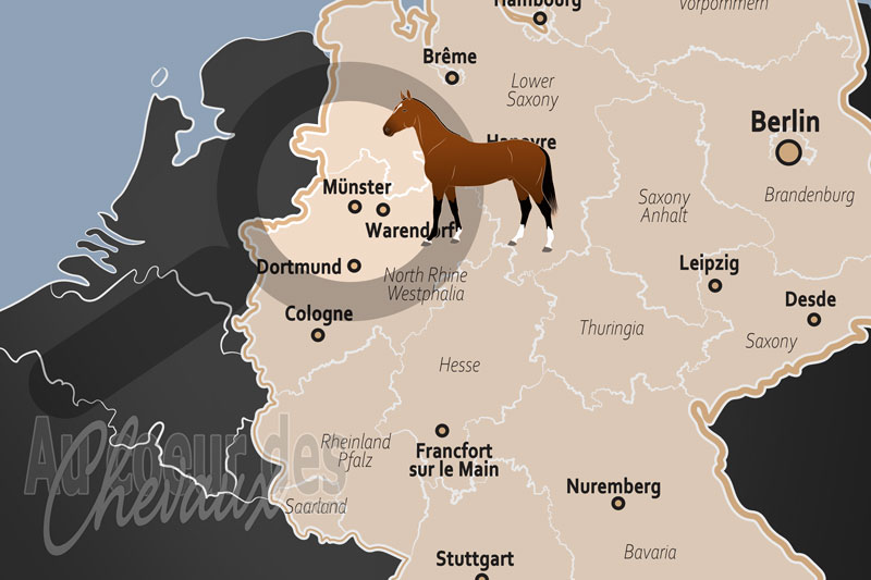 M�nster, la capitale historique et sportive du cheval westphalien