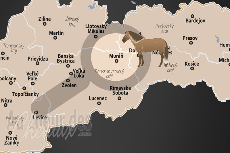 La localisation de Muran en Slovaquie