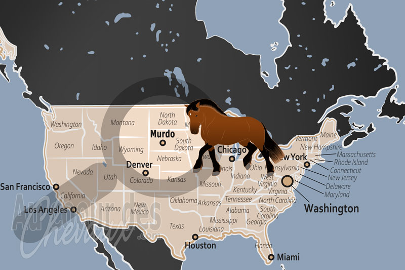 Murdo, l'�quid� au c?ur de la culture des ranchs et des grandes plaines du dakota du sud