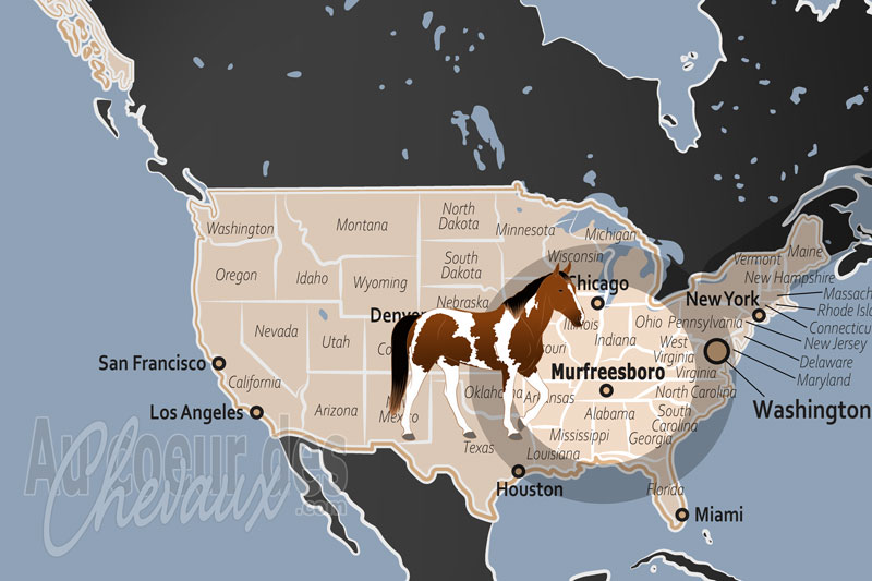 La localisation de Murfreesboro aux �tats Unis