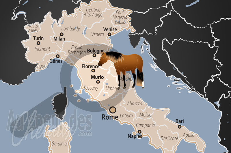 La localisation de Murlo en Italie