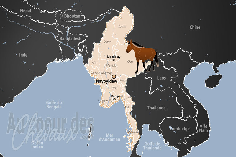 Myanmar (Birmanie), entre tradition royale et n�cessit� montagnarde