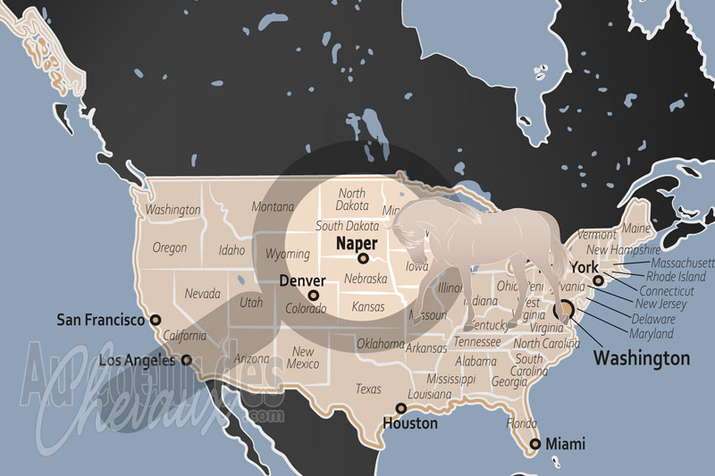Naper, l'h�ritage �quin au c?ur des ranches du nord du nebraska