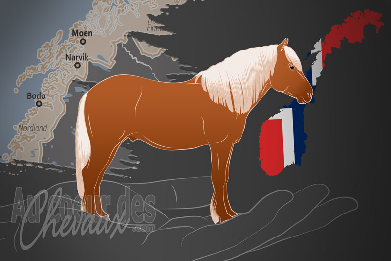 Le Centre National du Cheval Nordlandshest Lynghest, un organisme de gestion du nordlandshest lyngshest en norv�ge