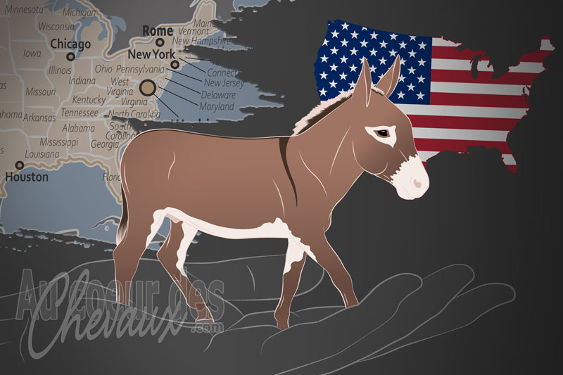 La National Miniature Donkey Association un organisme de race aux �tats Unis
