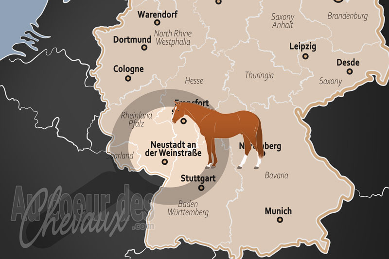 Neustadt an der Weinstra�e, l'�quitation entre vignobles et for�t palatine