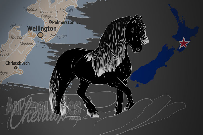 La New Zealand Friesian Horse Society Inc. un organisme de race en Nouvelle Z�lande