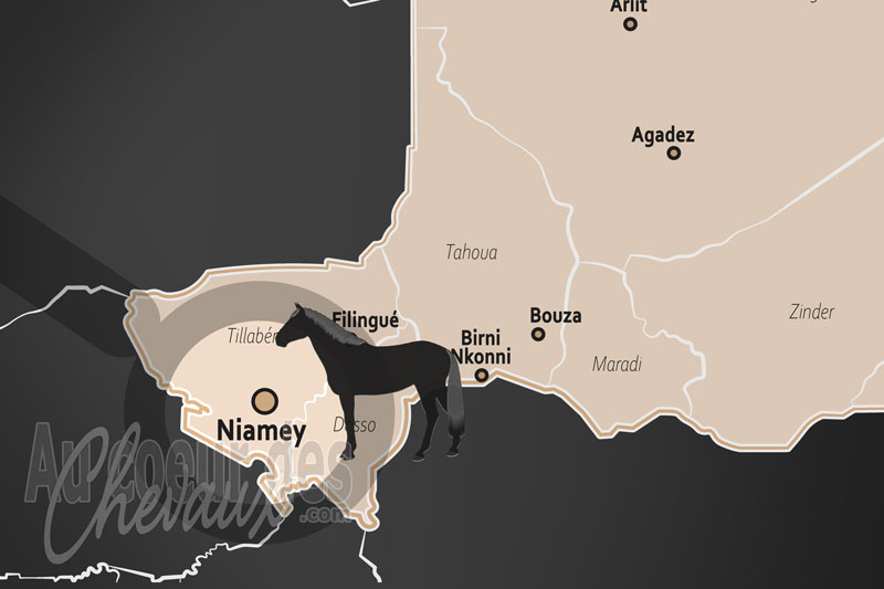 Niamey, symbole de prestige et moteur de la vie sah�lienne