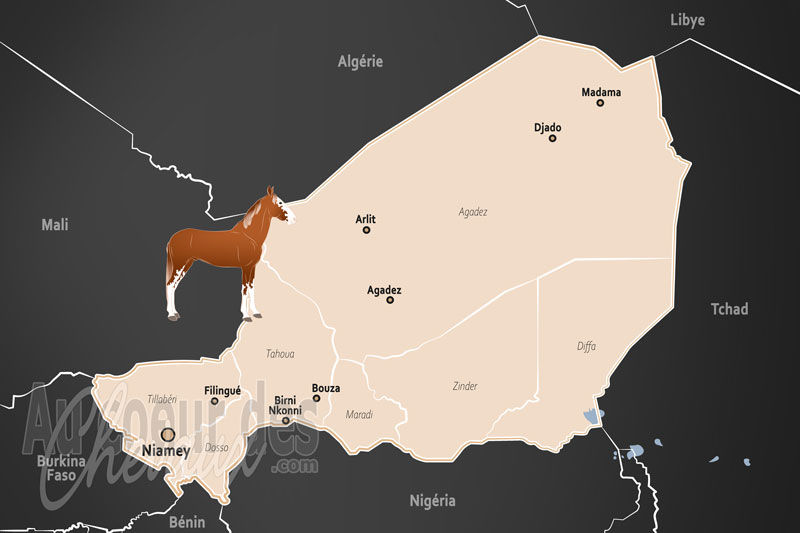 Le Niger, noblesse du sahel et pilier de la vie nomade