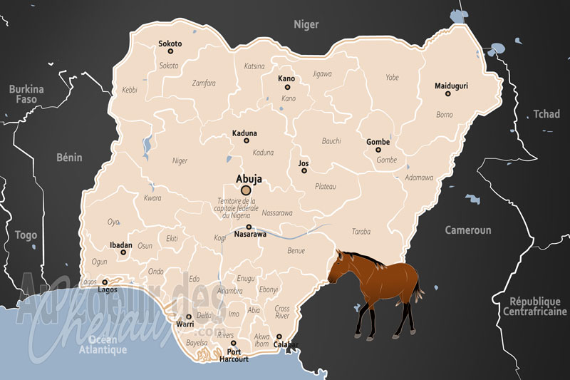 Le Nig�ria, entre apparat royal et dynamisme sportif