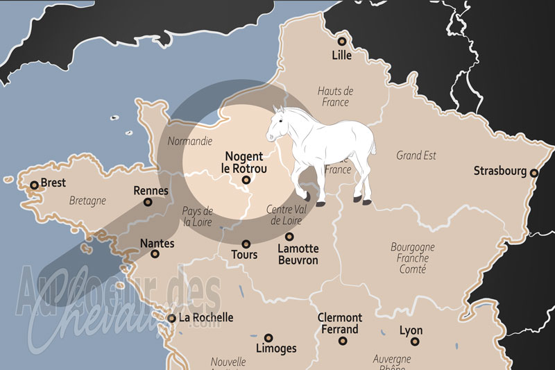 Nogent le Rotrou, capitale historique et sanctuaire mondial du cheval percheron