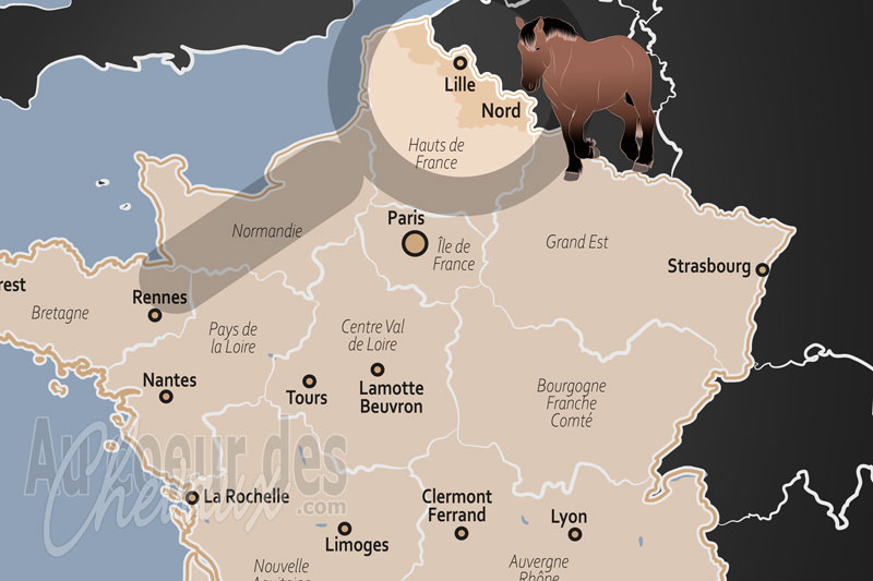 Le D�partement du Nord, terre de puissance et de tradition �questre entre flandres et avesnois