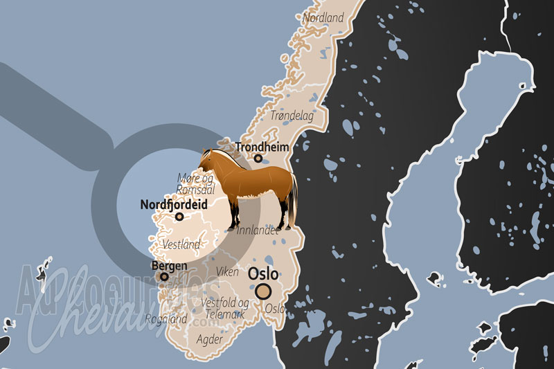 Nordfjordeid, capitale mondiale et berceau sacr� du cheval fjord