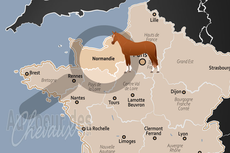 La R�gion de Normandie, le royaume de l'or vert et des crins de l�gende