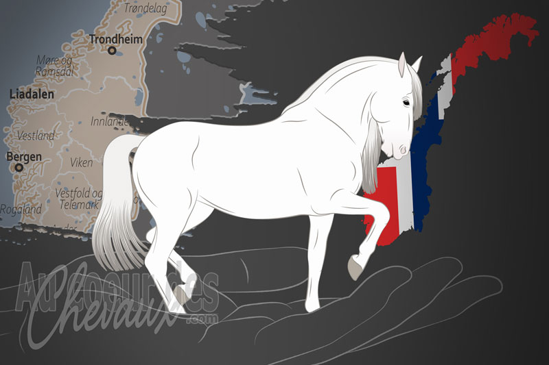 L'Association Norv�gienne d'�levage de Chevaux Pure Race Espagnole, un organisme de gestion du pure race espagnole en norv�ge