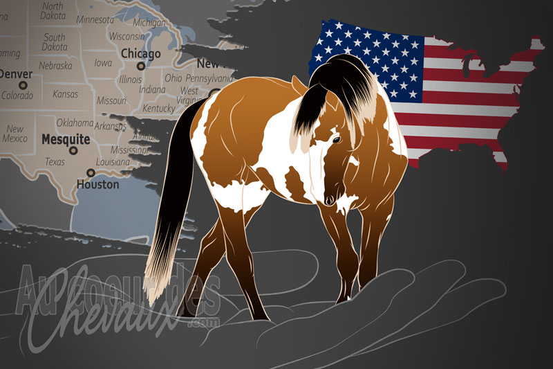 L'Association et Registre Nord Am�ricains du Cheval Mustang, une organisation qui g�re le cheval mustang aux �tats unis
