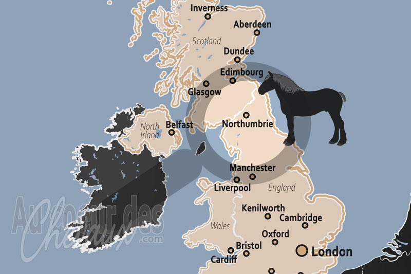 La Northumbrie, h�ritage des border reivers et r�silience du cheval du nord