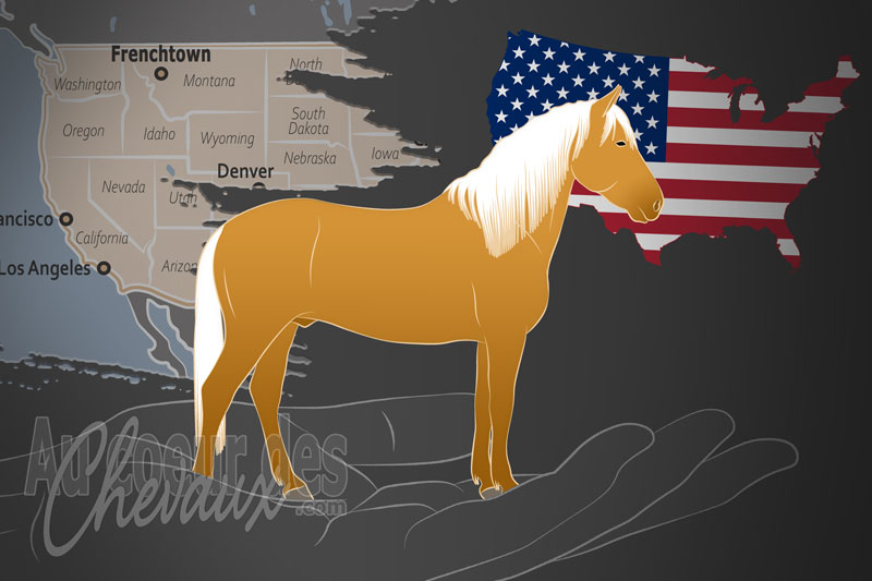 La Northwest Paso Fino Horse Association un organisme de race aux �tats Unis