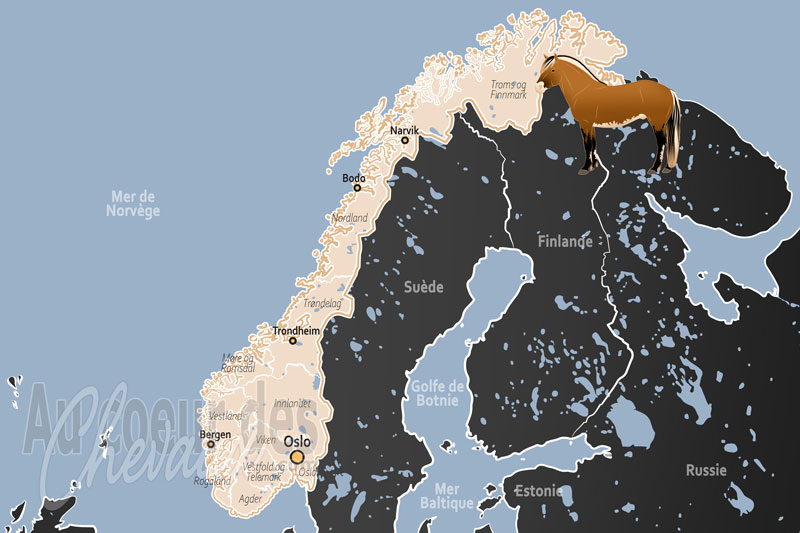 La Norv�ge, entre h�ritage viking et adaptation arctique