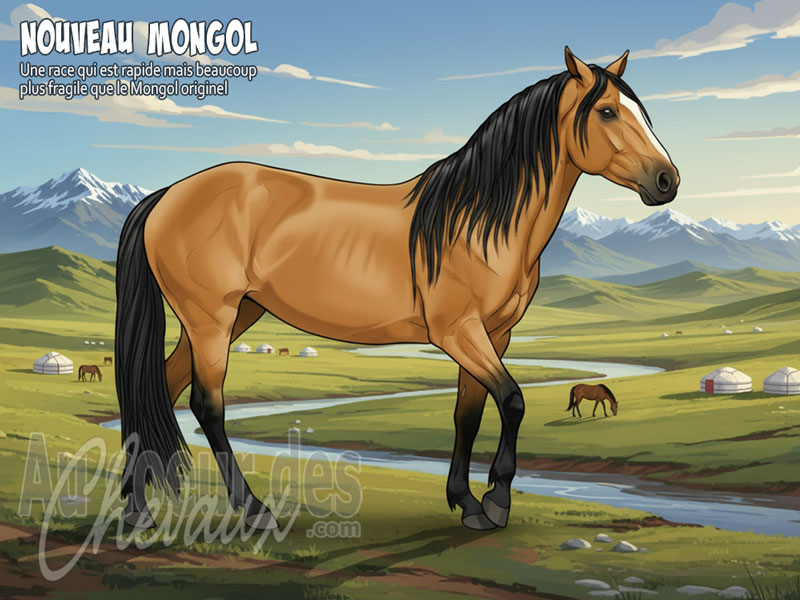 Le Nouveau Cheval Mongol, entre tradition nomade et modernisation zootechnique
