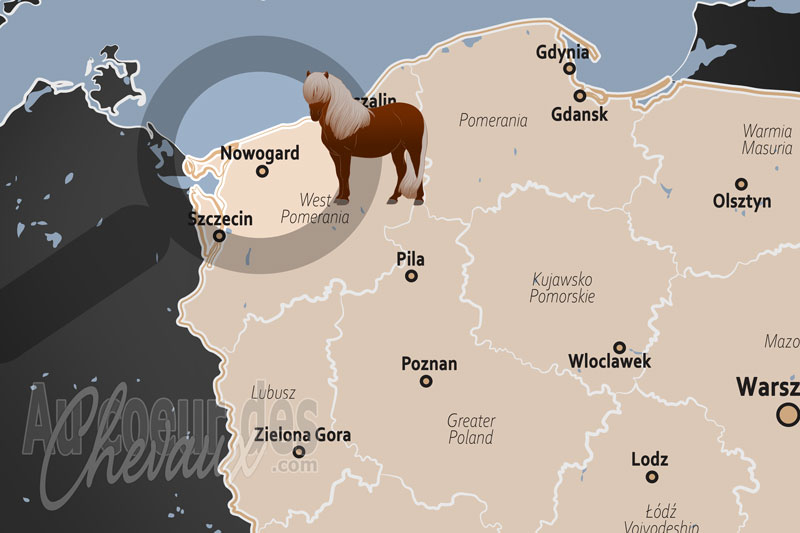 Nowogard, un carrefour de l'�levage et de la tradition en pom�ranie occidentale