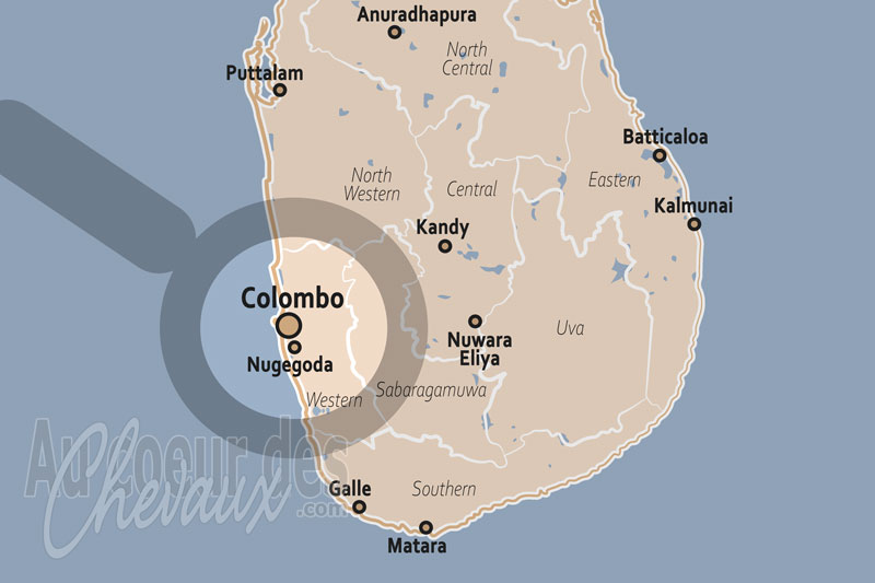Nugegoda, une �quitation urbaine entre loisirs et prestige
