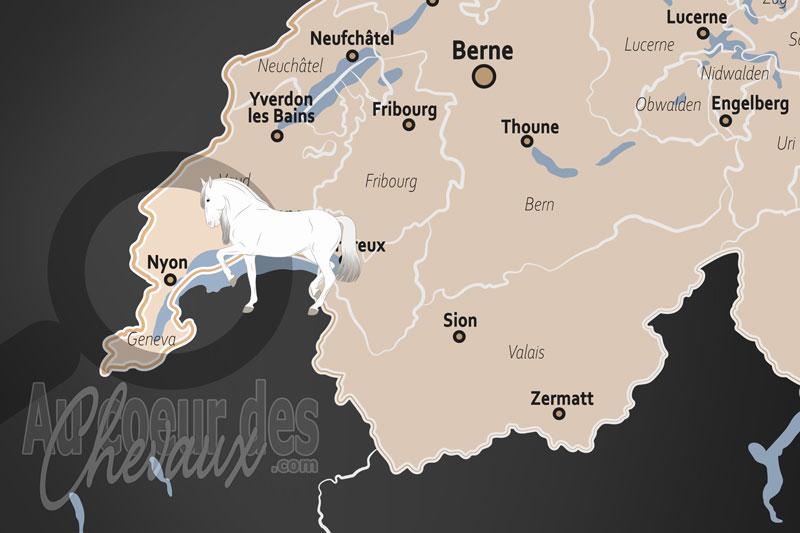 Nyon, un p�le d'�quitation d'excellence au c?ur de la c�te vaudoise