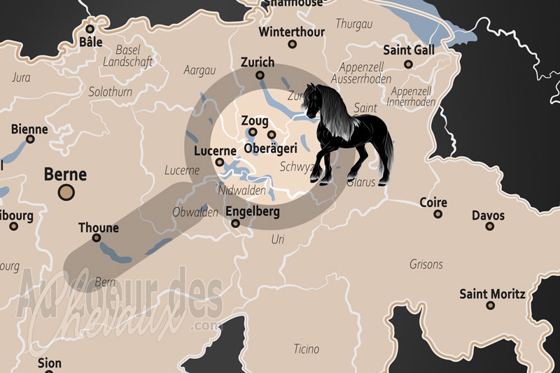 Ober�geri, excellence �questre au c?ur des pr�alpes zougoises