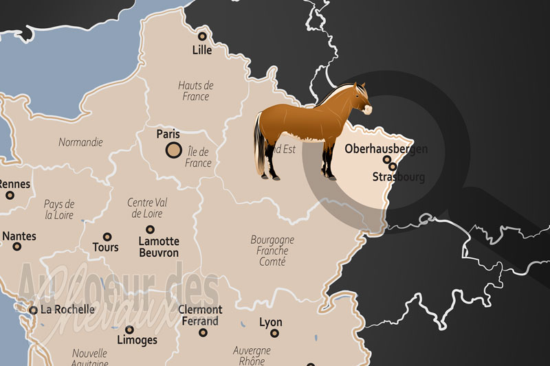 Oberhausbergen, p�le hippique de l'eurom�tropole et h�ritage des collines