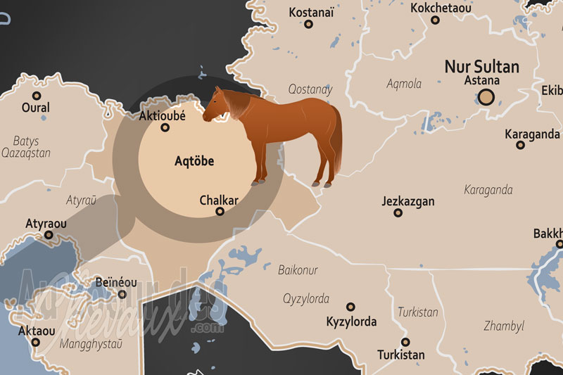 L'Oblast d'Aktioub�, berceau de la race mougodjar et �picentre de la culture �questre des steppes
