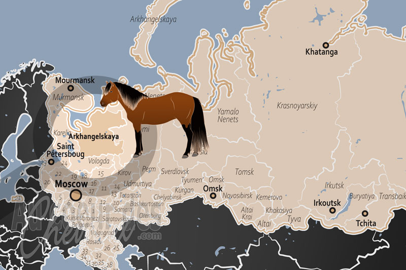 L'Oblast d'Arkhangelsk, le domaine du cheval de mezen et de la r�silience subarctique