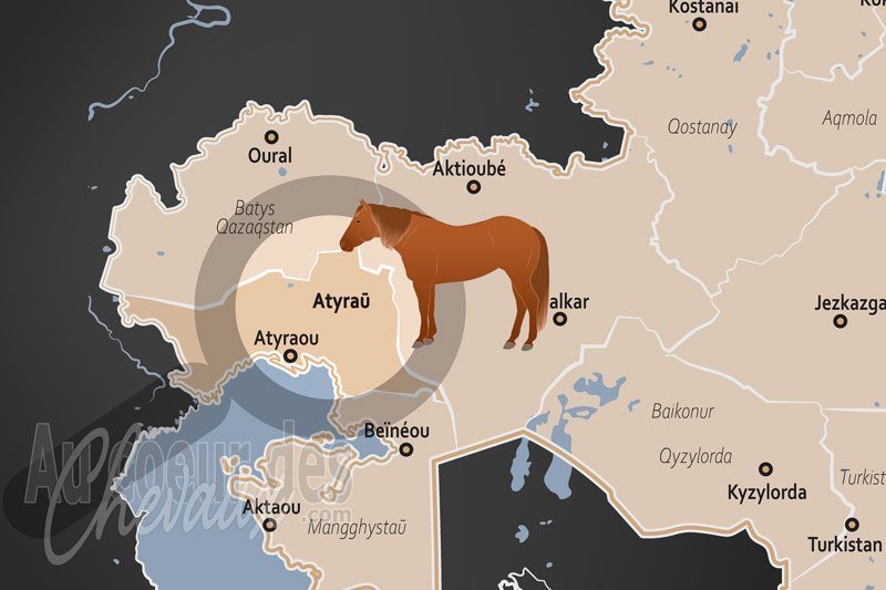 L'Oblast d'Atyrau, terre du cheval adaev et de la tradition nomade