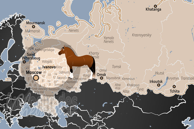 L'Oblast d'Ivanovo, fief historique du cheval de trait et gardien du patrimoine de gavrilov posad