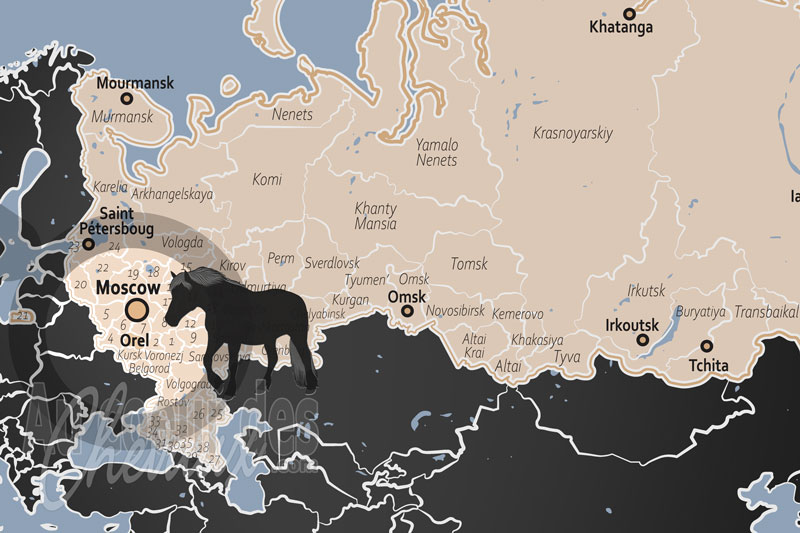 L'Oblast d'Orel, terre sacr�e du trotteur et haut lieu de la s�lection hippologique
