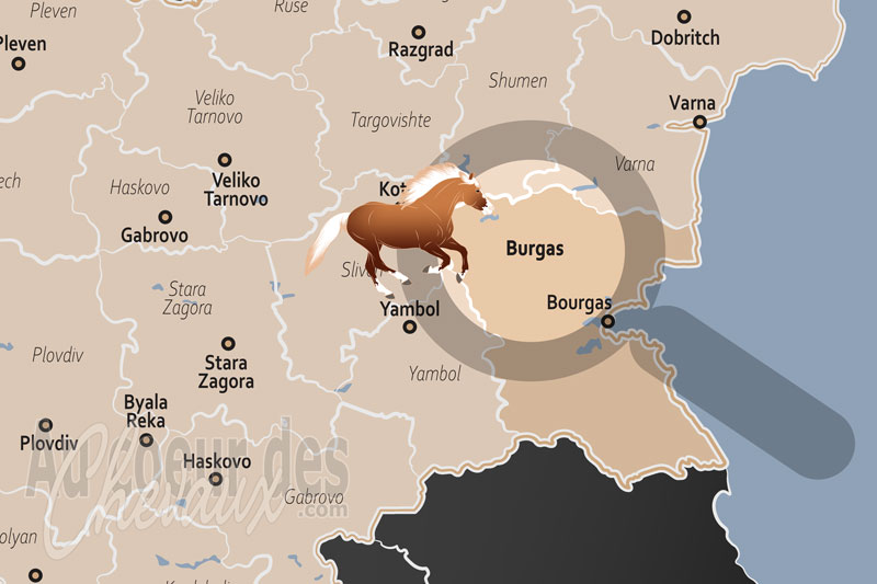 L'Oblast de Bourgas, entre conservation des races autochtones et tourisme �questre littoral