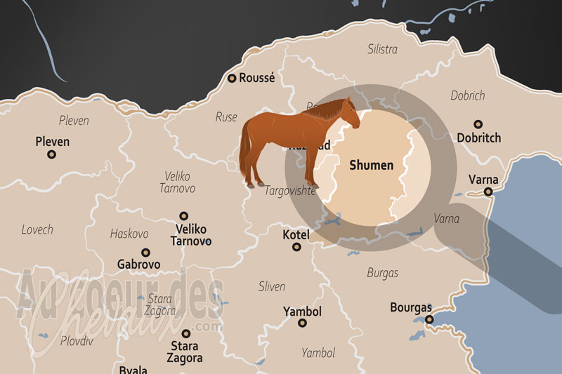 L'Oblast de Choumen, le berceau historique et le c?ur de l'�levage national