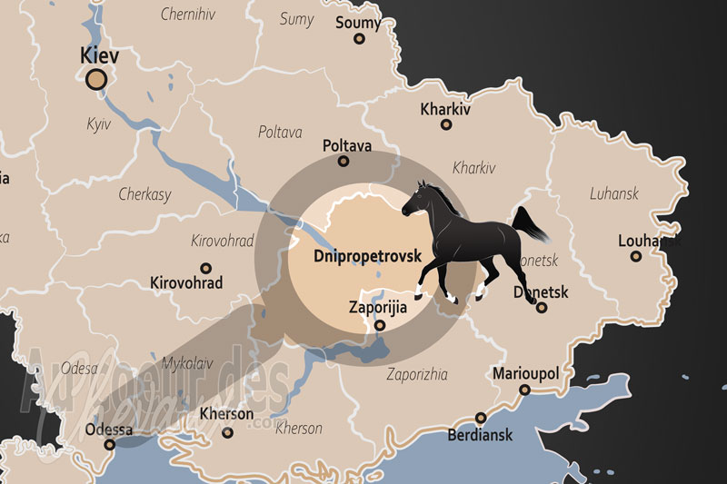 L'Oblast de Dnipropetrovsk, un p�le majeur de l'�levage de sport et de l'h�ritage cosaque