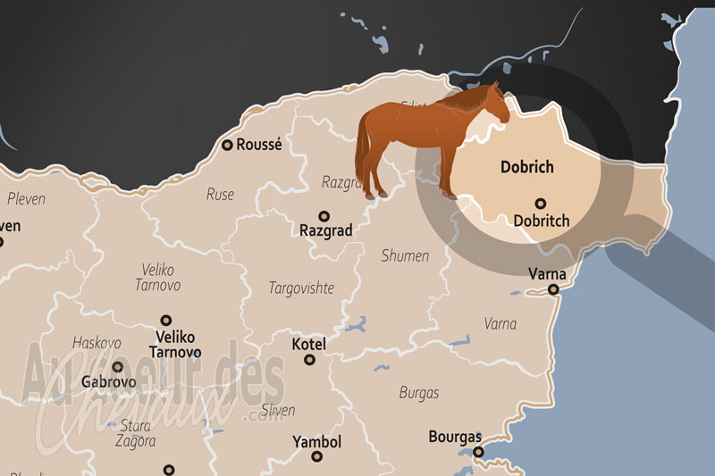 L'Oblast de Dobritch, le domaine des trotteurs et de la plaine de dobroudja