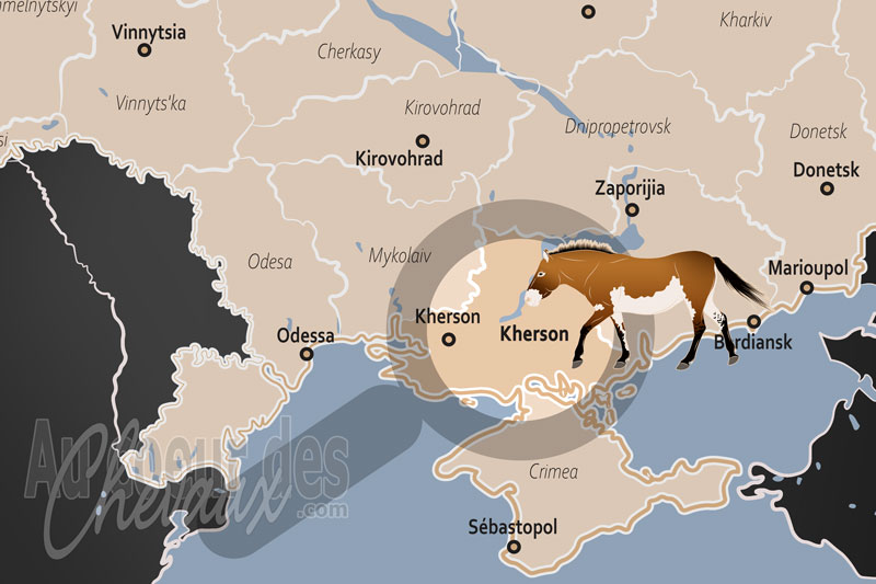 L'Oblast de Kherson, un sanctuaire �quin entre steppe sauvage et d�fis contemporains